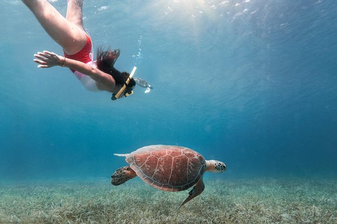 Culebra Snorkel and Turtle Adventure with Transport - Key things I’d plan around
