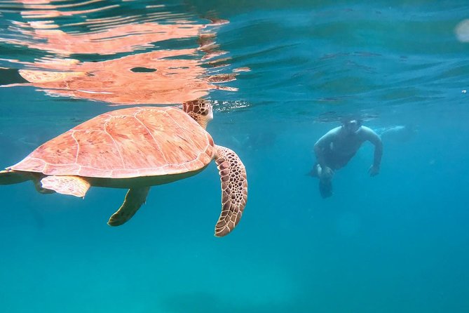 Culebra Snorkel and Turtle Adventure with Transport - Ceiba Ferry Terminal morning, where the day starts (and how to make it smooth)
