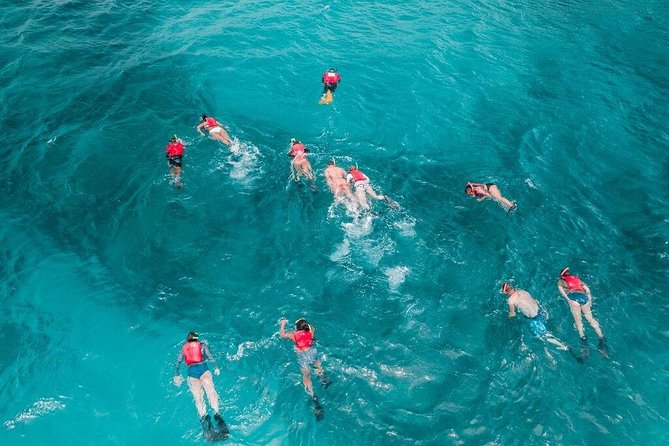 Culebra Snorkel and Turtle Adventure with Transport - Snacks, refreshments, and the digital photo album payoff
