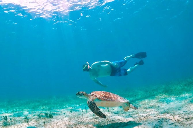 Culebra Snorkel and Turtle Adventure with Transport - Price and what you’re really paying for at $145.84