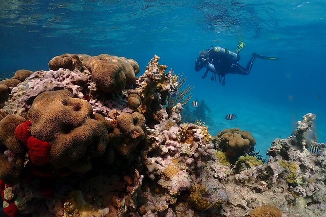 Culebra Snorkeling and beach Day Experience by boat - The morning plan at Isleta Marina: waivers, gear, and timing that matters