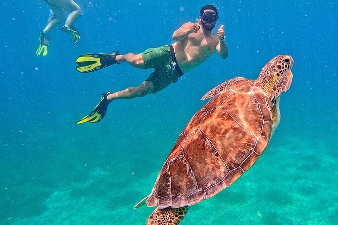 Culebra Swim with Turtles Adventure and Flamenco Beach by Ferry - Tamarindo Beach snorkeling: gear, flotation, and how the swim actually feels