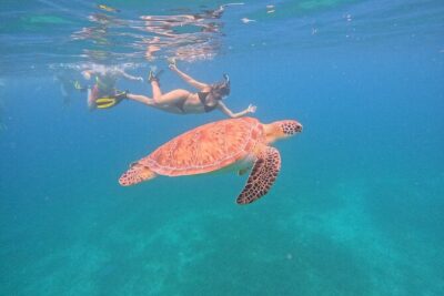 Culebra Swim with Turtles Adventure and Flamenco Beach by Ferry