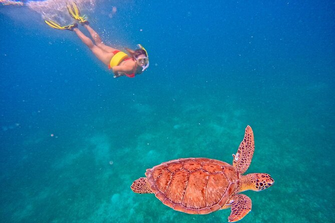 Culebra Swim with Turtles Adventure and Flamenco Beach by Ferry - Swimming with sea turtles: why this guide style matters