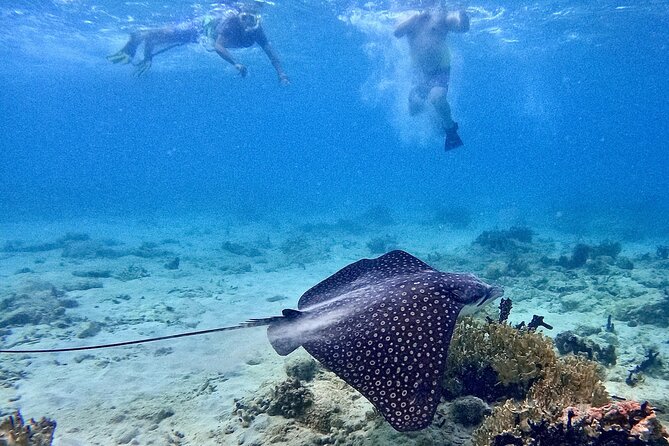 Culebra Swim with Turtles Adventure and Flamenco Beach by Ferry - What to pack so your day feels easy
