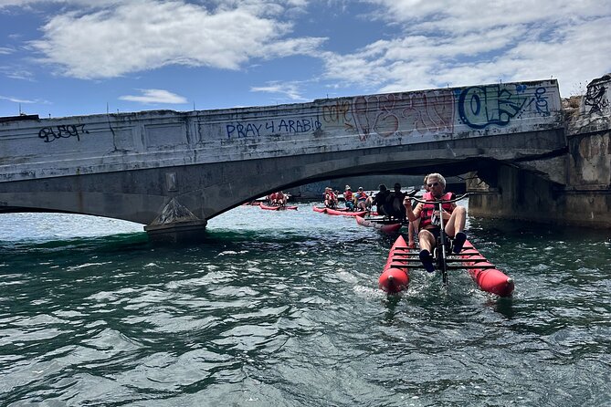 Day Adventure Chiliboats Waterbike - Condado Lagoon - Wildlife watch in calm water, and how to enjoy it without stress