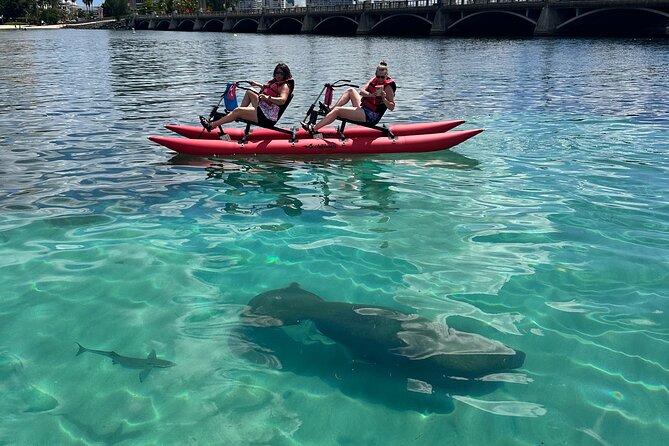Day Adventure Chiliboats Waterbike – Condado Lagoon - From check-in to cast-off: how the 1 hour and 15 minutes really plays out
