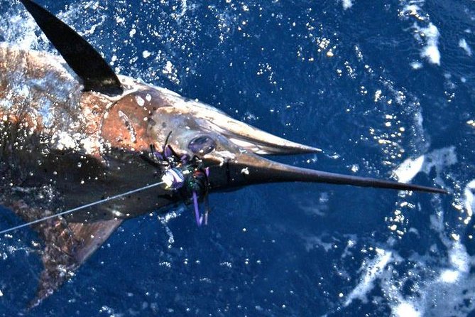Deep Sea Fishing Private Boat Charter in San Juan - Should You Book This San Juan Fishing Charter?