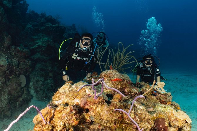 Discover Culebra: 2-Tank Scuba Diving - Key things to know before you go