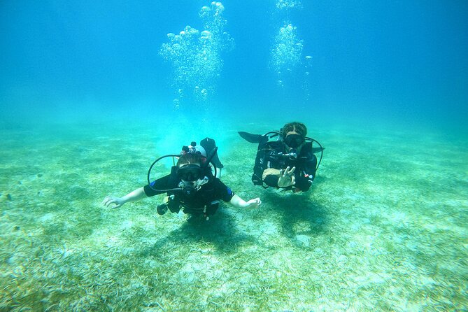 Discover Culebra: 2-Tank Scuba Diving - Who should book this, and who should think twice
