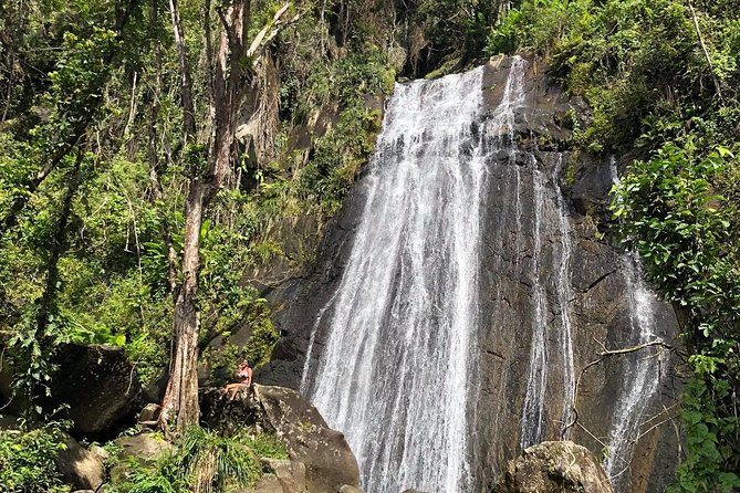 Discover El Yunque National Park: Half-Day Rainforest Tour - El Portal Visitor Center: where the rainforest clicks