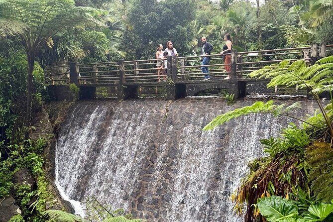 Discover El Yunque National Park: Half-Day Rainforest Tour - Yokahú Tower: the view you remember after the rain