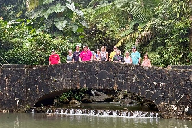 Discover El Yunque National Park: Half-Day Rainforest Tour - Comfort, weather, and what to pack for a wet forest