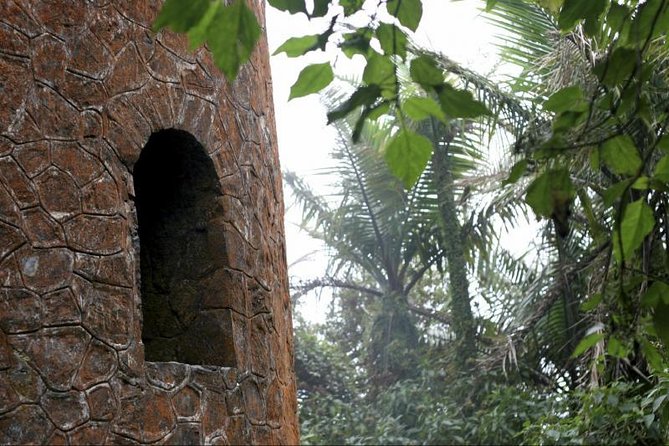 Discover El Yunque National Park: Half-Day Rainforest Tour - Pickup from San Juan, and why timing matters