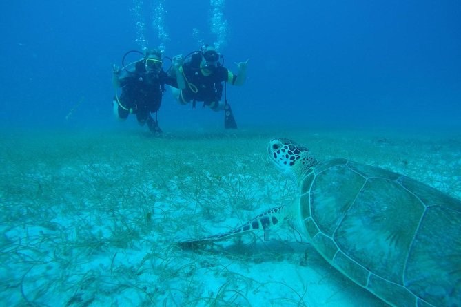 Discover Fajardo: 2-Tank Scuba Diving - Key things to know before you go