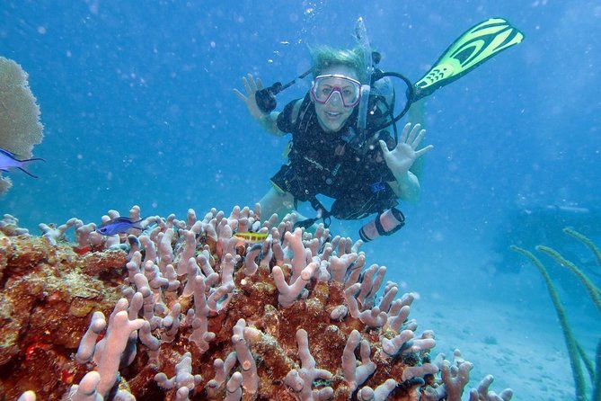 Discover Fajardo: 2-Tank Scuba Diving - Morning logistics at 7:30 am, and how the timing usually feels