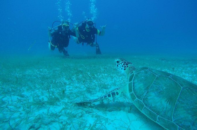Discover Fajardo: 2-Tank Scuba Diving - Gear, boat comfort, snacks, and the kind of safety you can feel