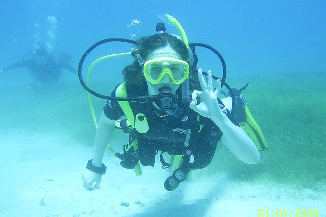Discover Fajardo: 2-Tank Scuba Diving - Price and value: what $238.57 really covers in Fajardo