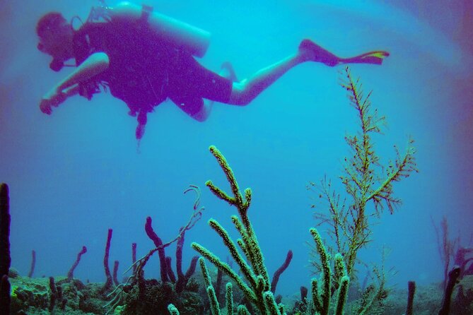 Discover Scuba Diving - Meet the people: why instructors shape the whole experience