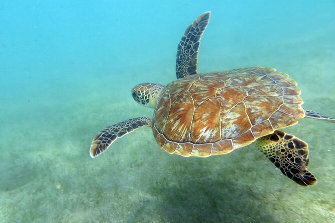 Discover Scuba Diving in San Juan - The 2-hour flow: safety brief, gear-up, then about 45 minutes underwater