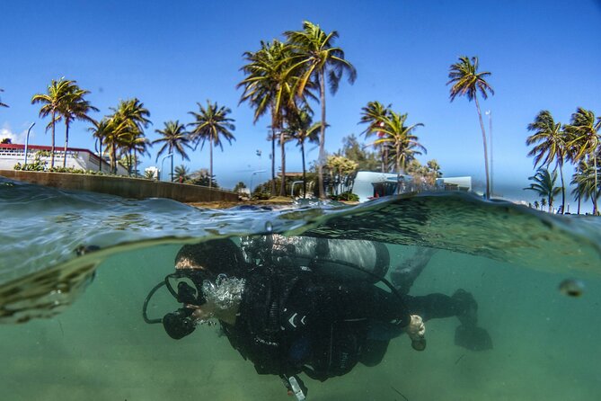 Discover Scuba Diving in San Juan - Should you book Scuba Dogs at Escambrón Marine Park?