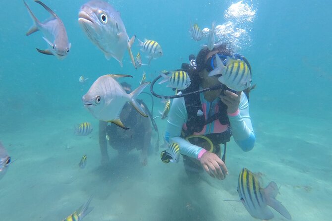 Discover Scuba Diving in San Juan: Perfect for First-Time Divers - Key things I’d circle on your pre-booking checklist