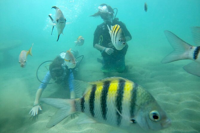 Discover Scuba Diving in San Juan: Perfect for First-Time Divers - Part 2: pool demonstration, where comfort becomes a skill