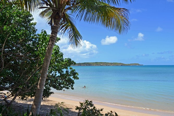 Discover Scuba Diving in San Juan: Perfect for First-Time Divers - Part 3: the first open-water session off the hotel beach