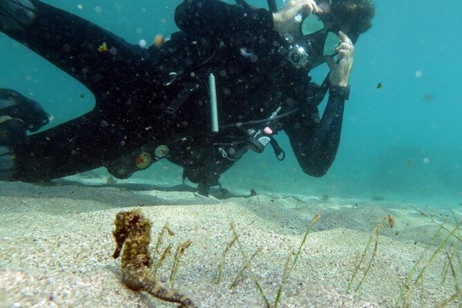 Discover Scuba Diving in San Juan - Getting the gear and facilities handled for you