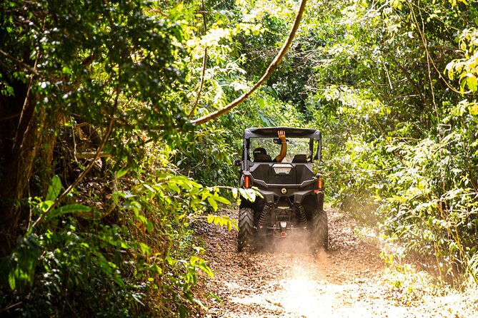 Dos Mares and Rainforest UTV Adventure Tour in Fajardo - Stop 1: Laguna Grande Viewpoints, Bioluminescent Bay Energy