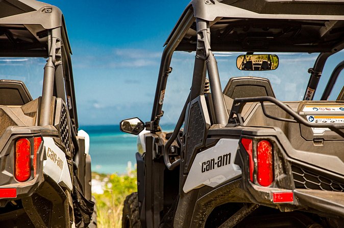 Dos Mares and Rainforest UTV Adventure Tour in Fajardo - Stop 2: El Yunque National Forest, Rainforest Views and Ecology Talk