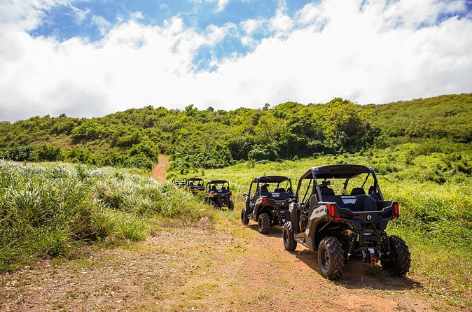 Dos Mares and Rainforest UTV Adventure Tour in Fajardo - What You Get in the Price: Value Beyond the Sticker