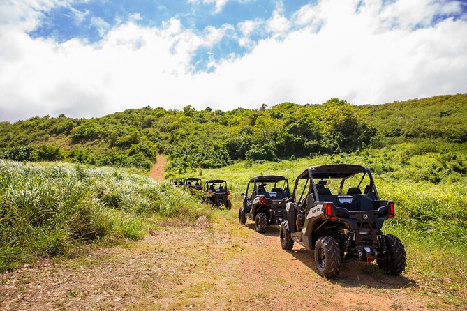 Dos Mares and Rainforest UTV Adventure Tour in Fajardo - How the UTV Tour Actually Works: Driving Time vs. Stop Time