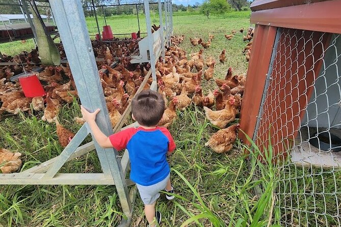 Eco Friendly Farming Tour to Explore Dorado's Most Beautiful Farm - A real working farm tour at Finca Pastoreo
