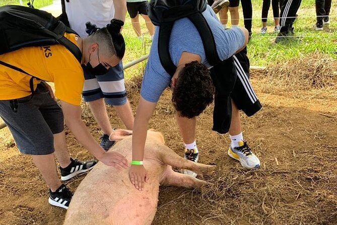 Eco Friendly Farming Tour to Explore Dorado's Most Beautiful Farm - What to wear on a farm walk where getting dirty is normal
