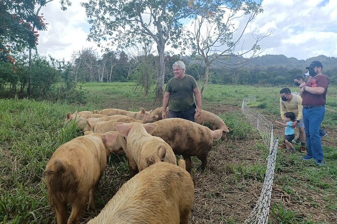 Eco Friendly Farming Tour to Explore Dorado's Most Beautiful Farm - The best part for many people, farm store stops and lunch options