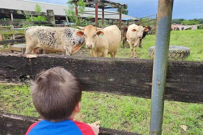 Eco Friendly Farming Tour to Explore Dorado's Most Beautiful Farm - How good value looks for a $20 pasture-raised experience