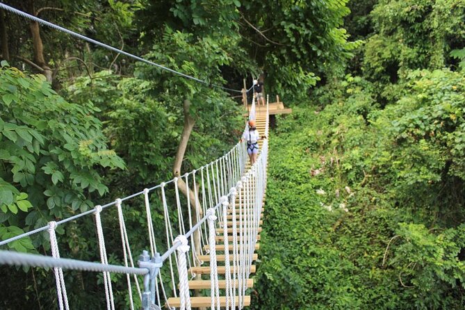 El Yunque Adventure Trail - Key things to know before you go
