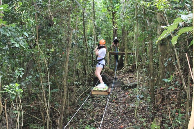 El Yunque Adventure Trail - The adventure trail itself: bridges, rappelling, and guided thrills