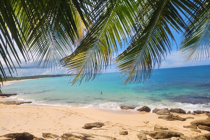 El Yunque & Beach Tour: Waterslide, Waterfall, Food, & Photos - Key Things to Know Before You Go