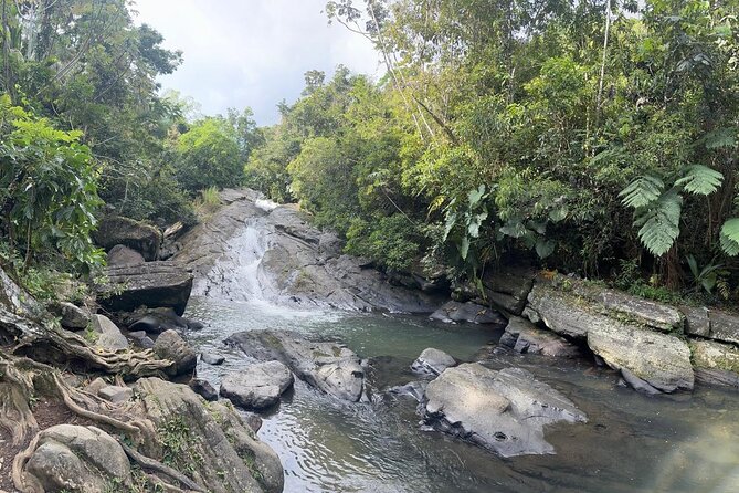 El Yunque & Beach Tour: Waterslide, Waterfall, Food, & Photos - Stop 1 in El Yunque: The River Slide, Natural Pool Time, and Photos