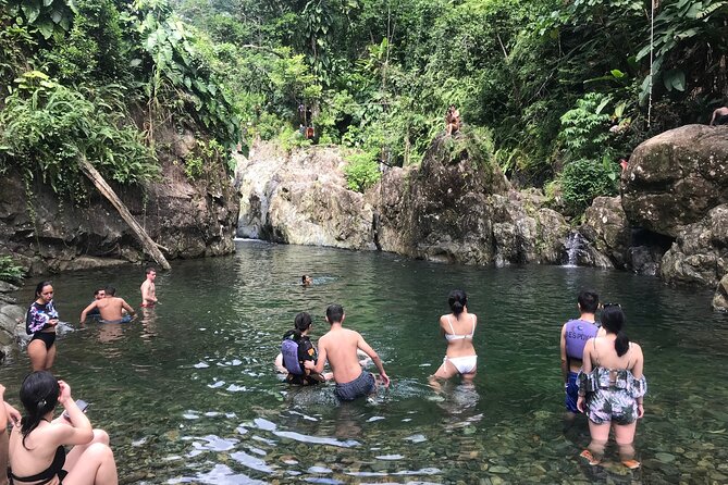 El Yunque Hike Adventure to Las Tinajas Waterfall from Fajardo - What The Guide Teaches In El Yunque, Plus Island Context