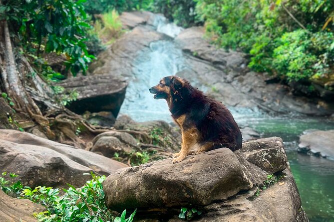El Yunque Hike, Waterslide & Luquillo Kiosks Food with Transport - Luquillo Beach: your reset after the rainforest water time