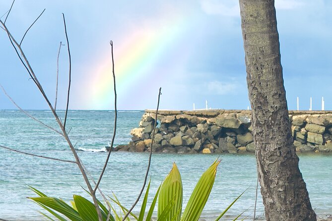 El Yunque Hike, Waterslide & Luquillo Kiosks Food with Transport - Who this tour is best for, and who should pass