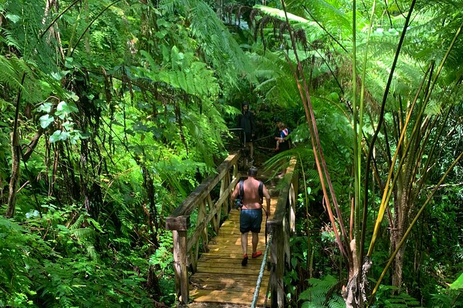El Yunque National Forest and Luquillo Beach Combo - Key Takeaways Before You Go