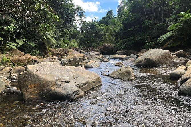 El Yunque National Forest and Luquillo Beach Combo - Who This Tour Fits Best, Based on How the Day Flows