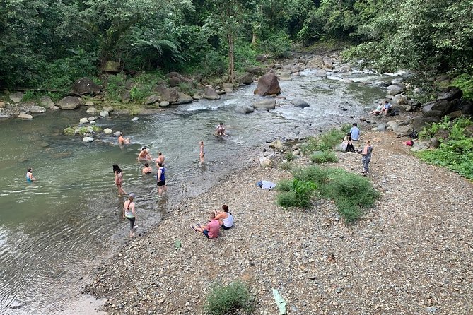 El Yunque National Forest and Luquillo Beach Combo - Should You Book This El Yunque and Luquillo Beach Day Trip?
