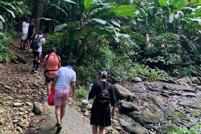 El Yunque National Forest and Luquillo Beach Combo - Torre Yokahu and La Coca Falls: Fast Photo Stops With Big Payoff