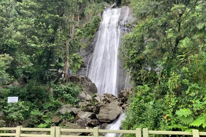 El Yunque National Forest and Luquillo Beach Tour - Why this rainforest plus beach combo makes sense in one 6-hour block