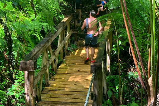 El Yunque National Forest and Luquillo Beach Tour - What to pack so the day feels easy, not stressful